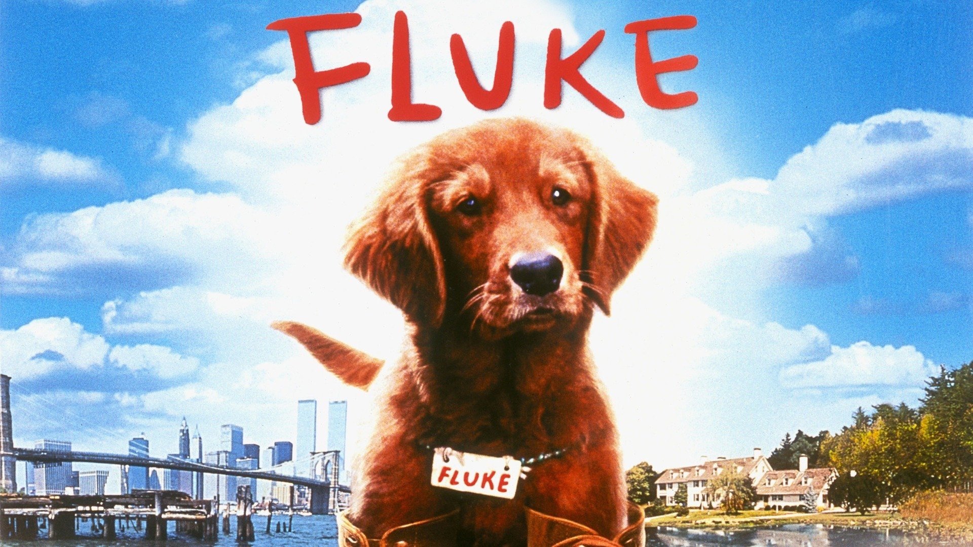 Fluke scene photo