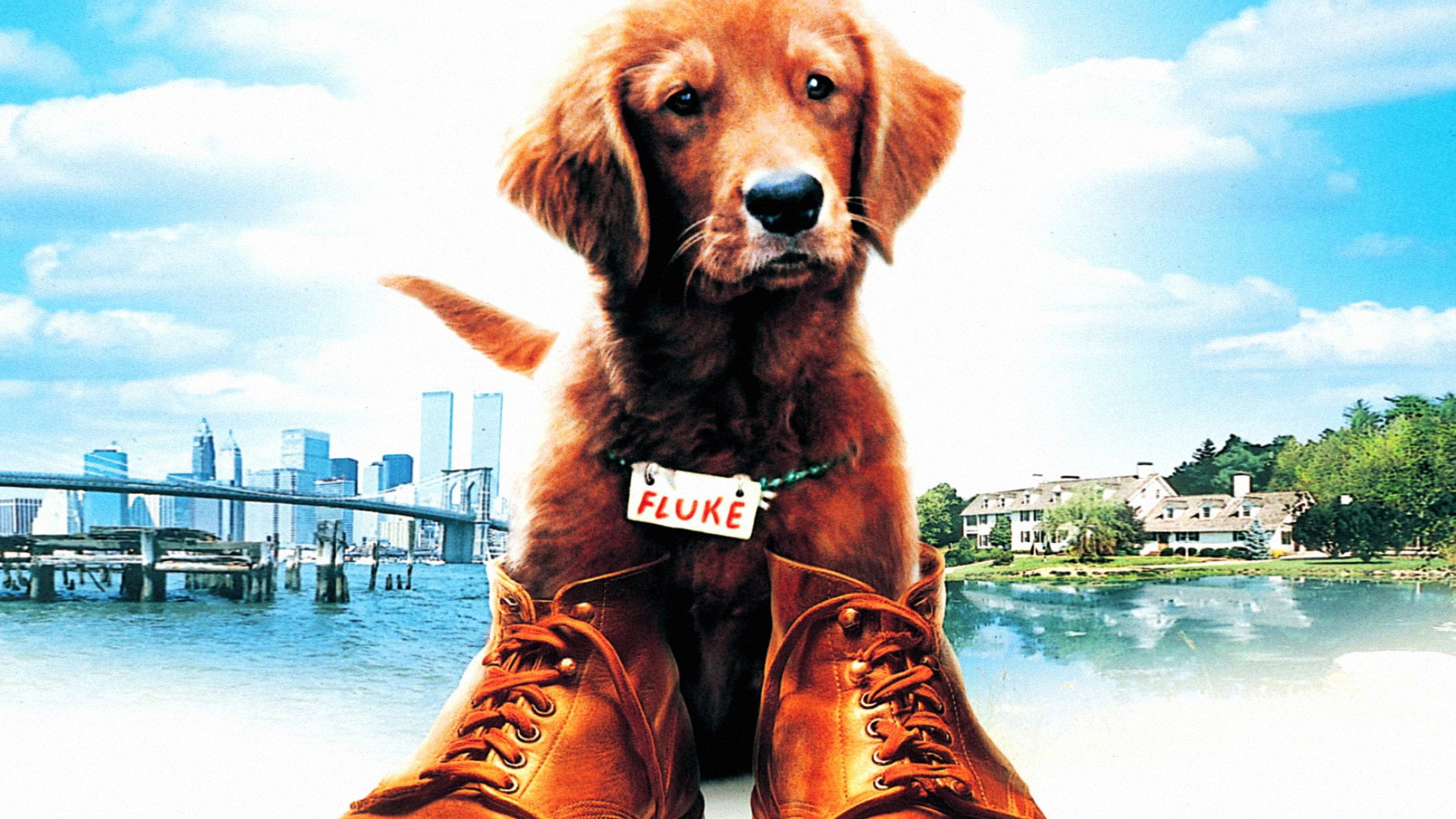 Fluke scene photo