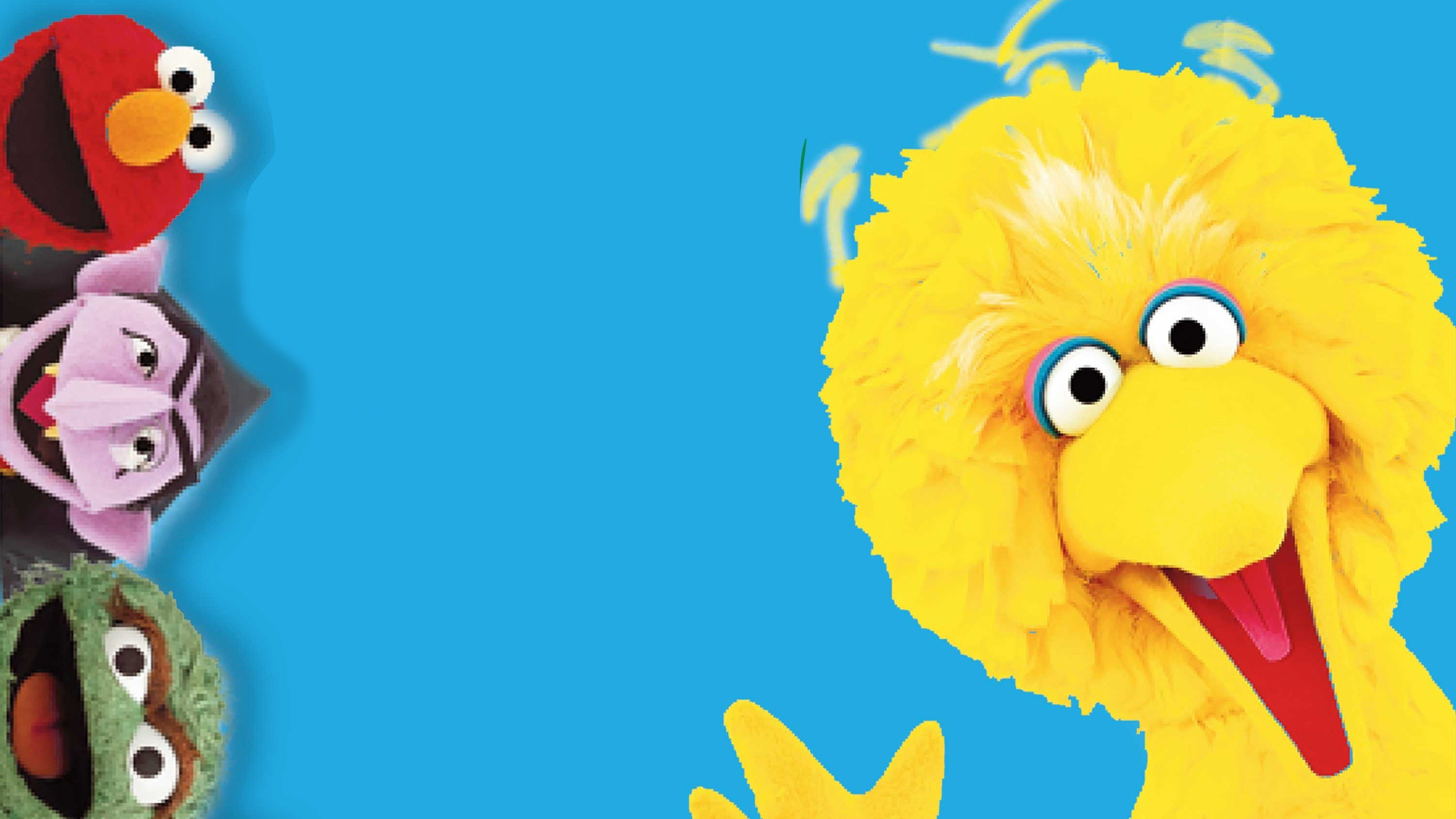 Follow That Bird scene photo