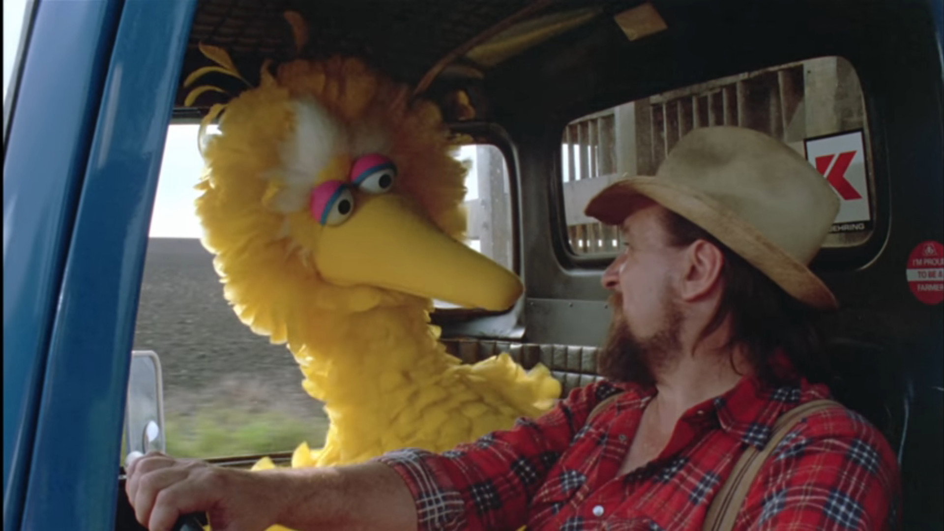 Follow That Bird scene photo