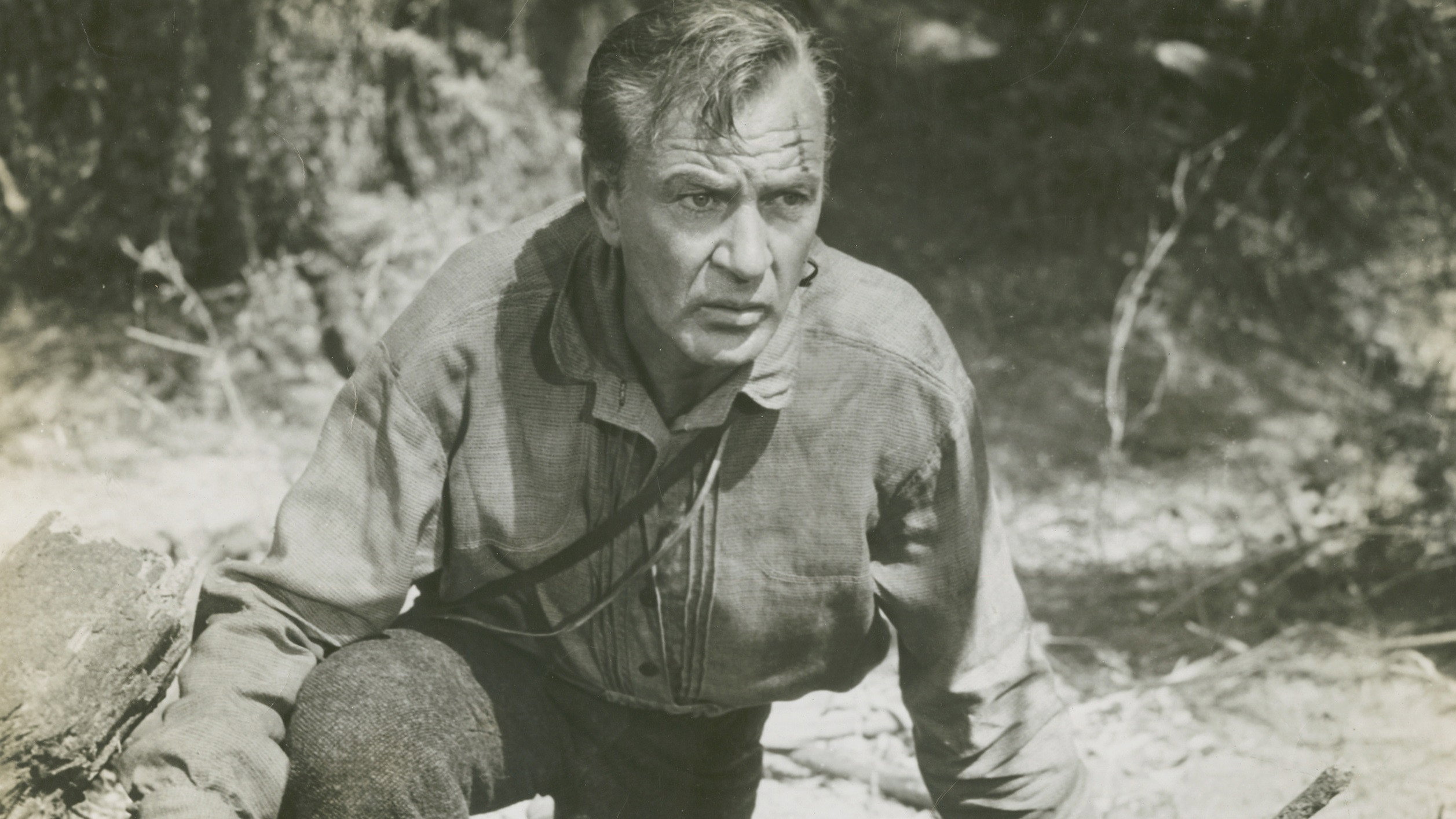 Friendly Persuasion scene photo