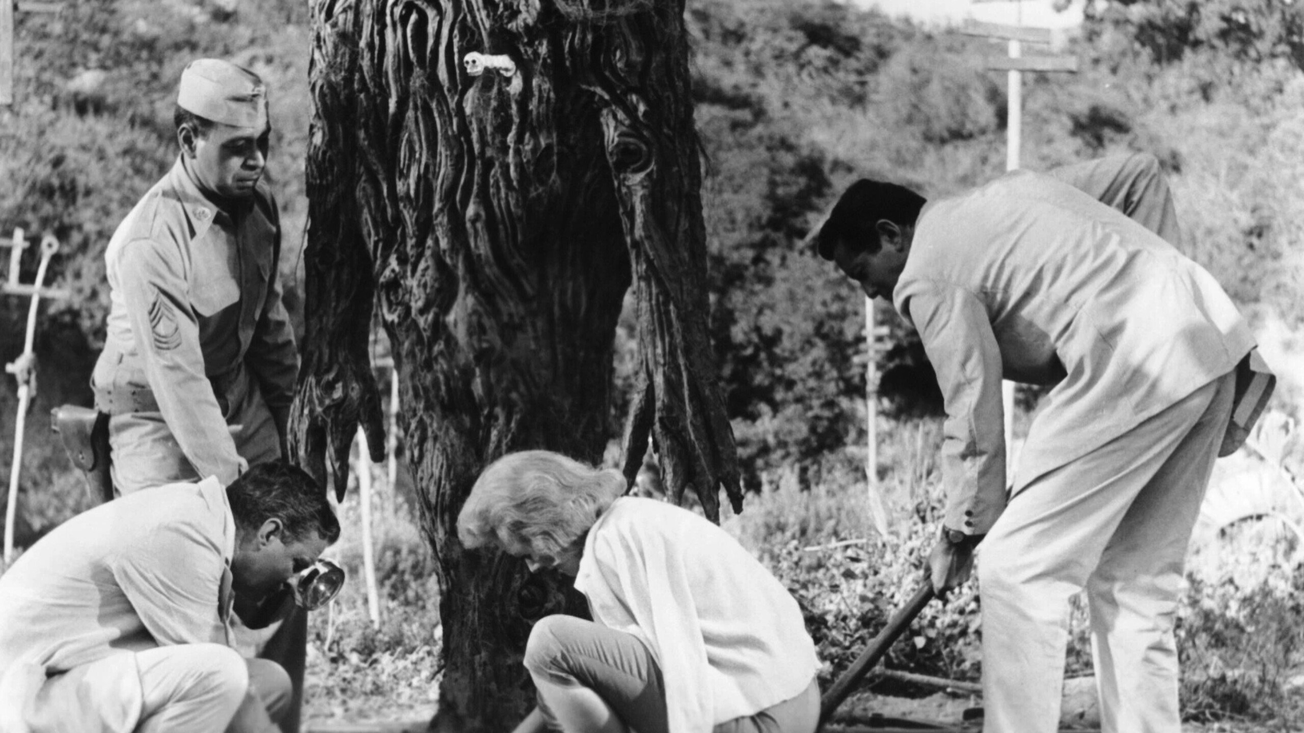 From Hell It Came scene photo