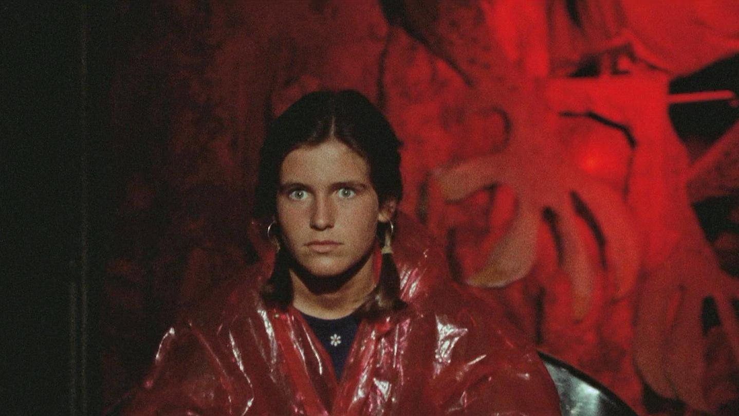 Gatti rossi in un labirinto di vetro scene photo