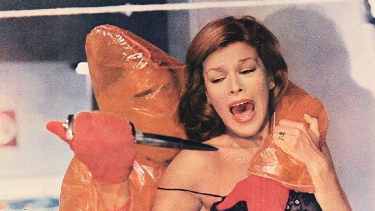 Gatti rossi in un labirinto di vetro scene photo