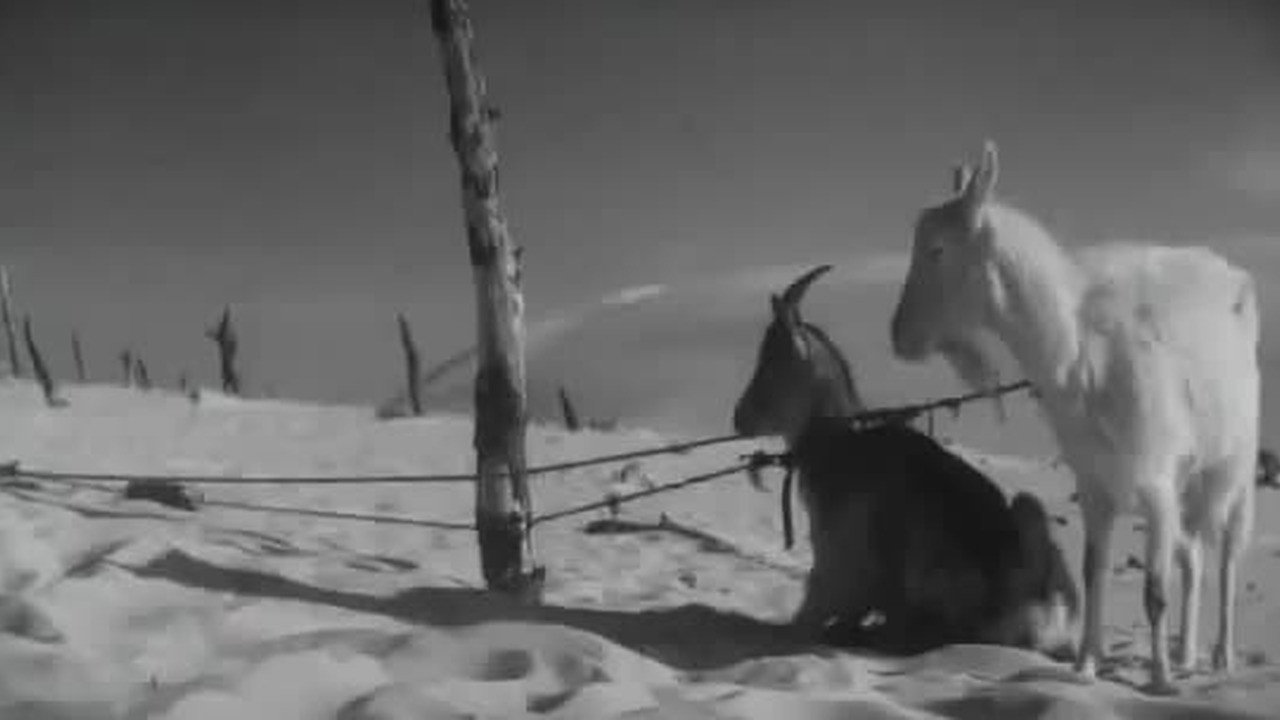 Gdy spadaja anioly scene photo