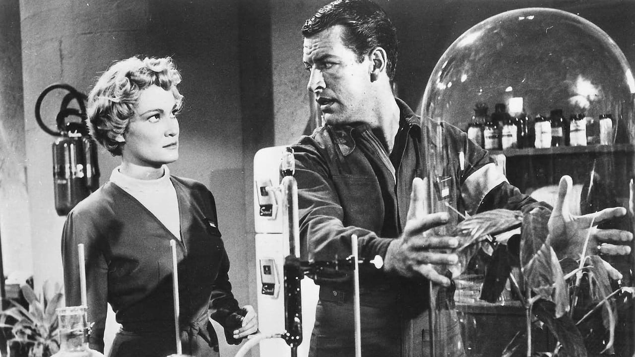 Gog scene photo