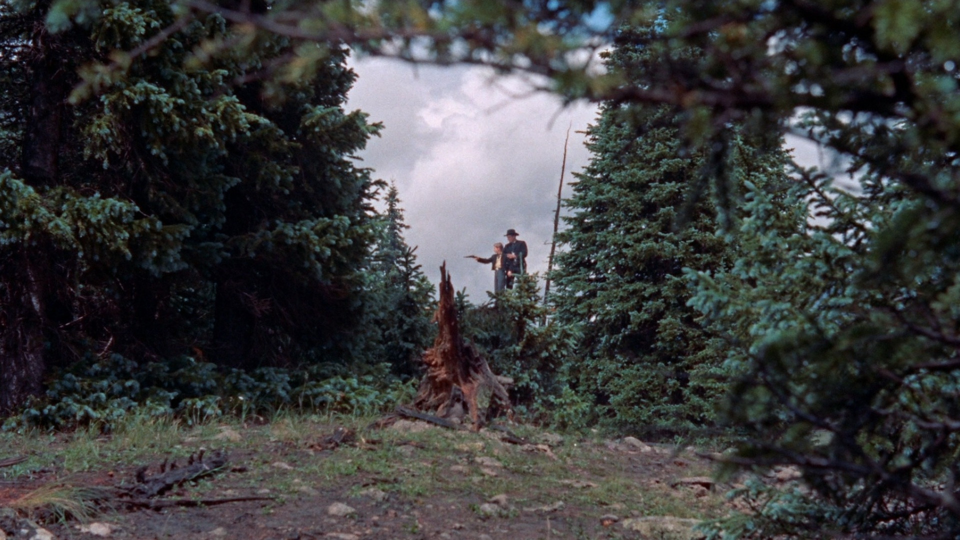 Great Day in the Morning scene photo