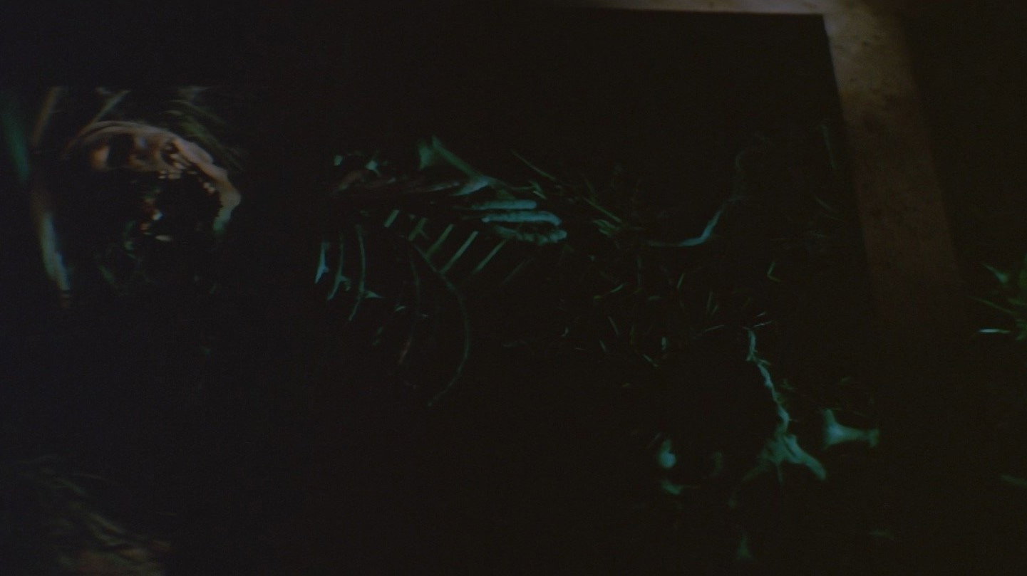 Gui xin niang scene photo