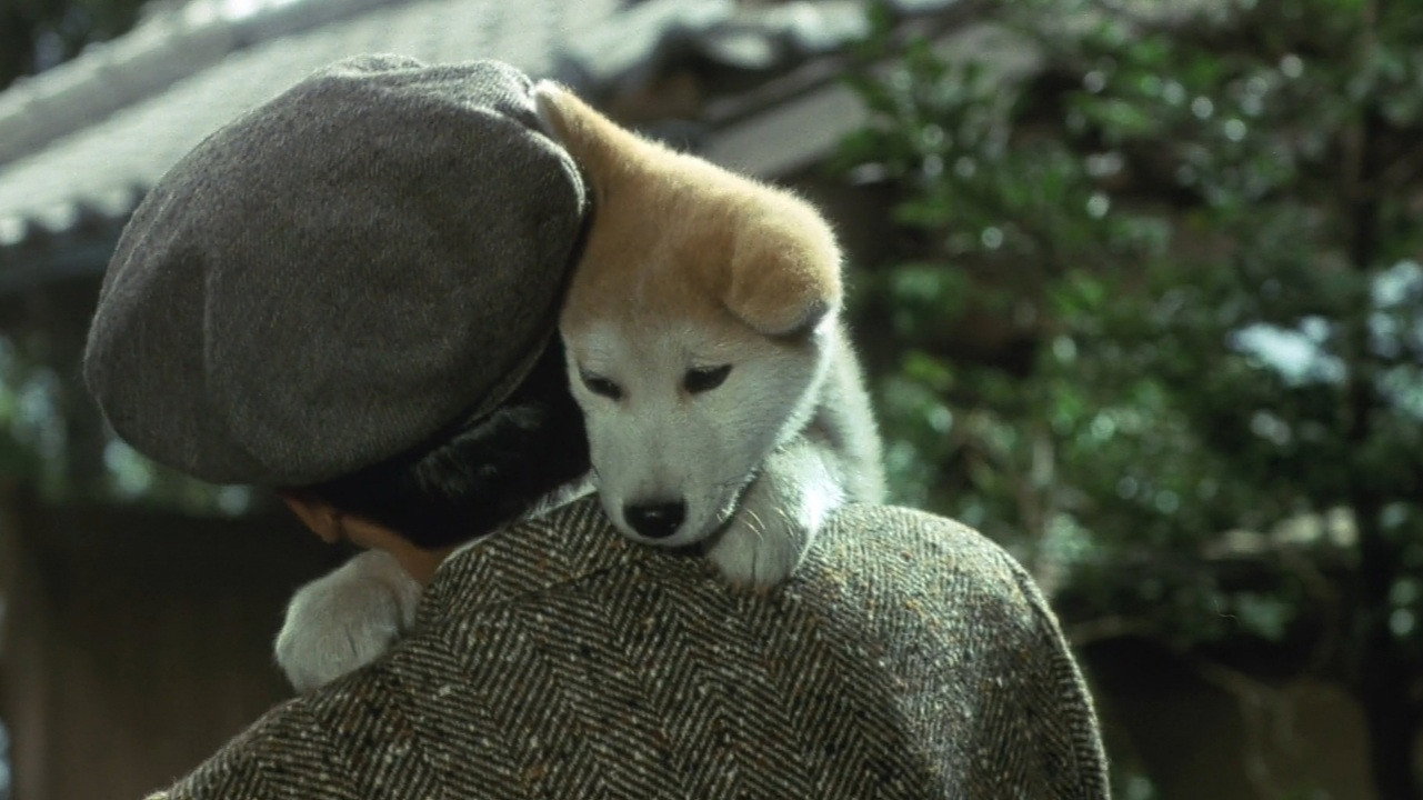 Hachikô monogatari scene photo