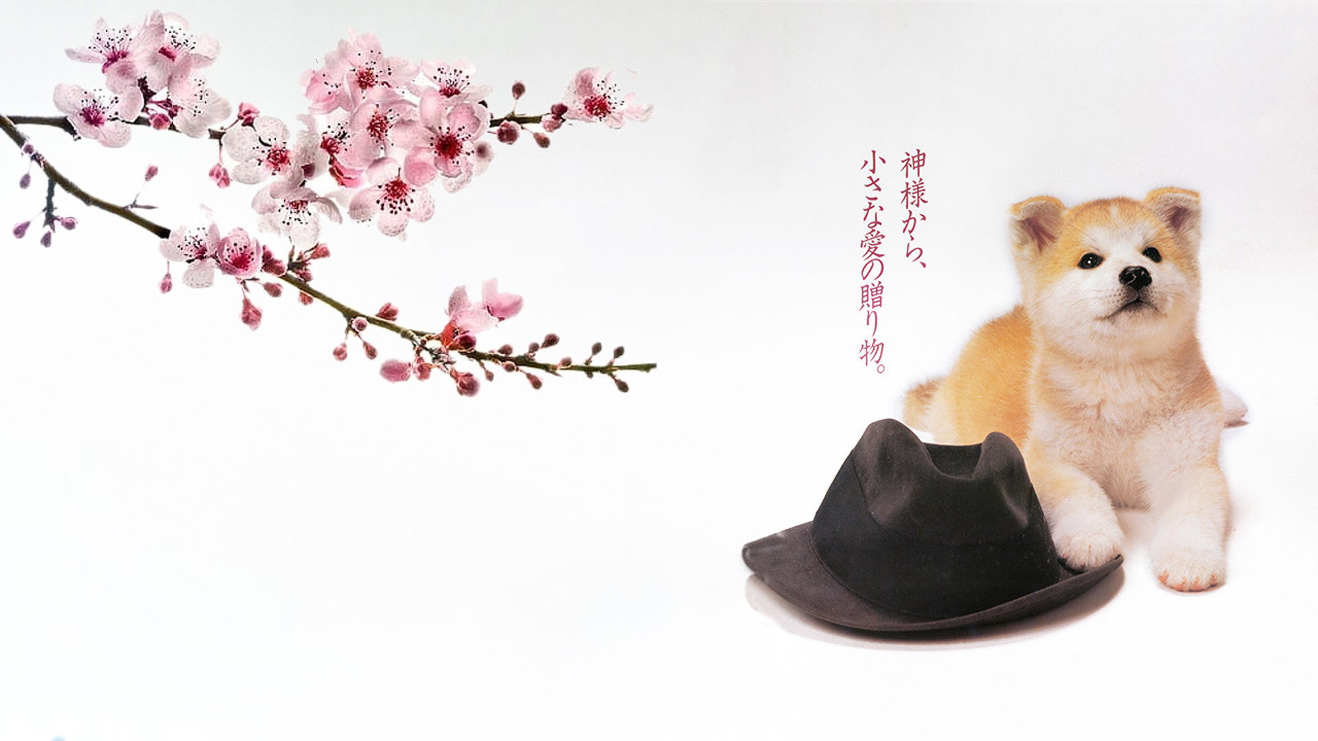 Hachikô monogatari scene photo
