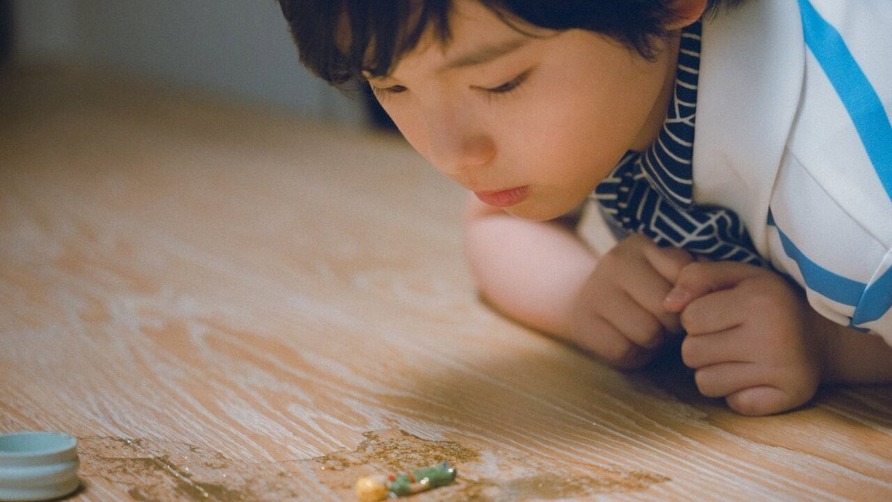 Hako no naka no hitsuji scene photo