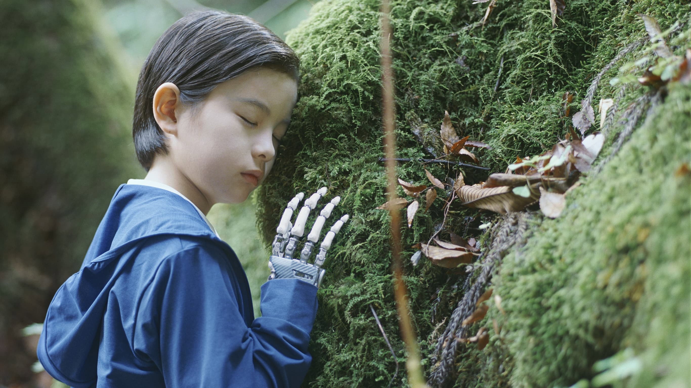 Hako no naka no hitsuji scene photo