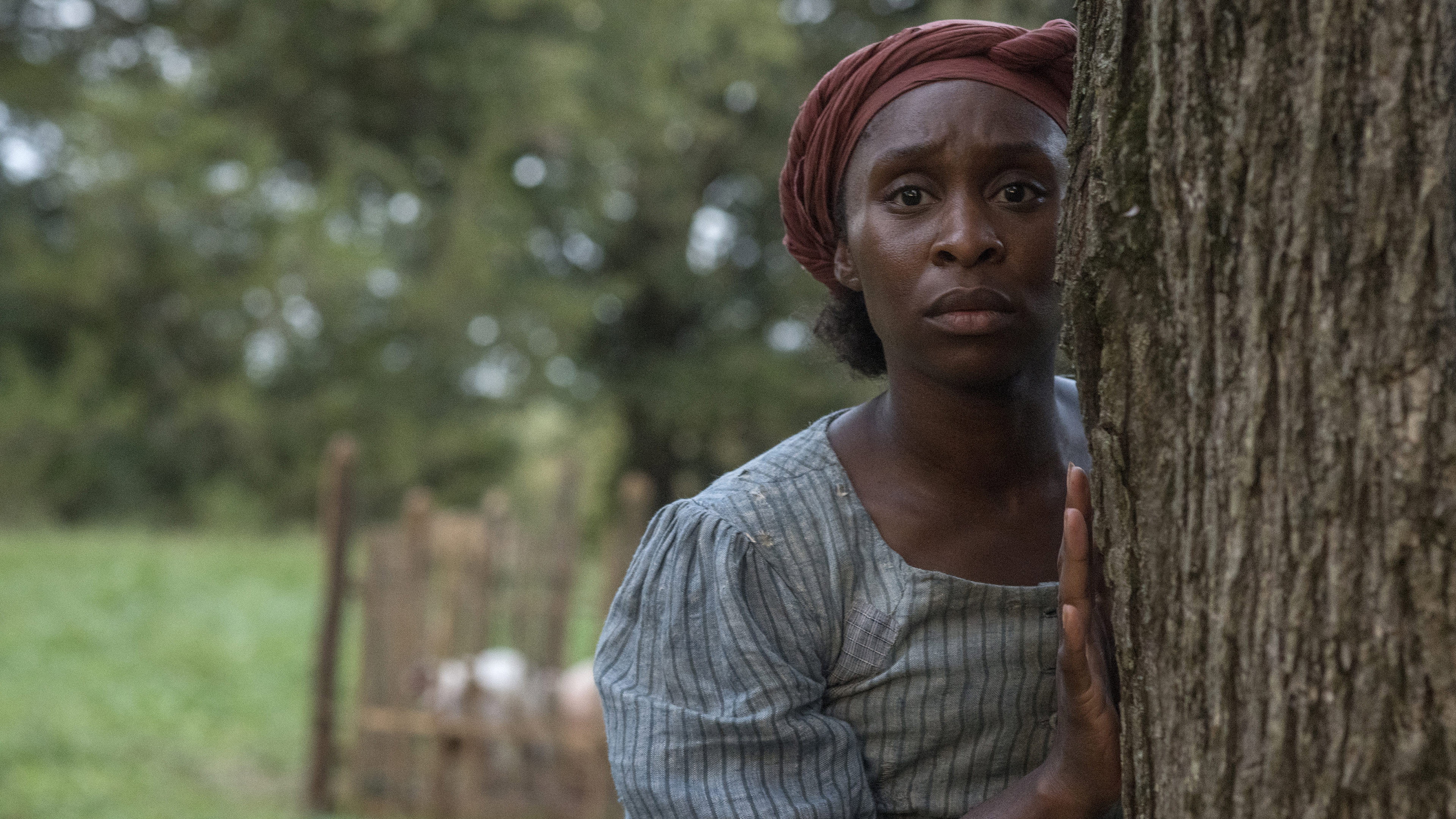Harriet scene photo
