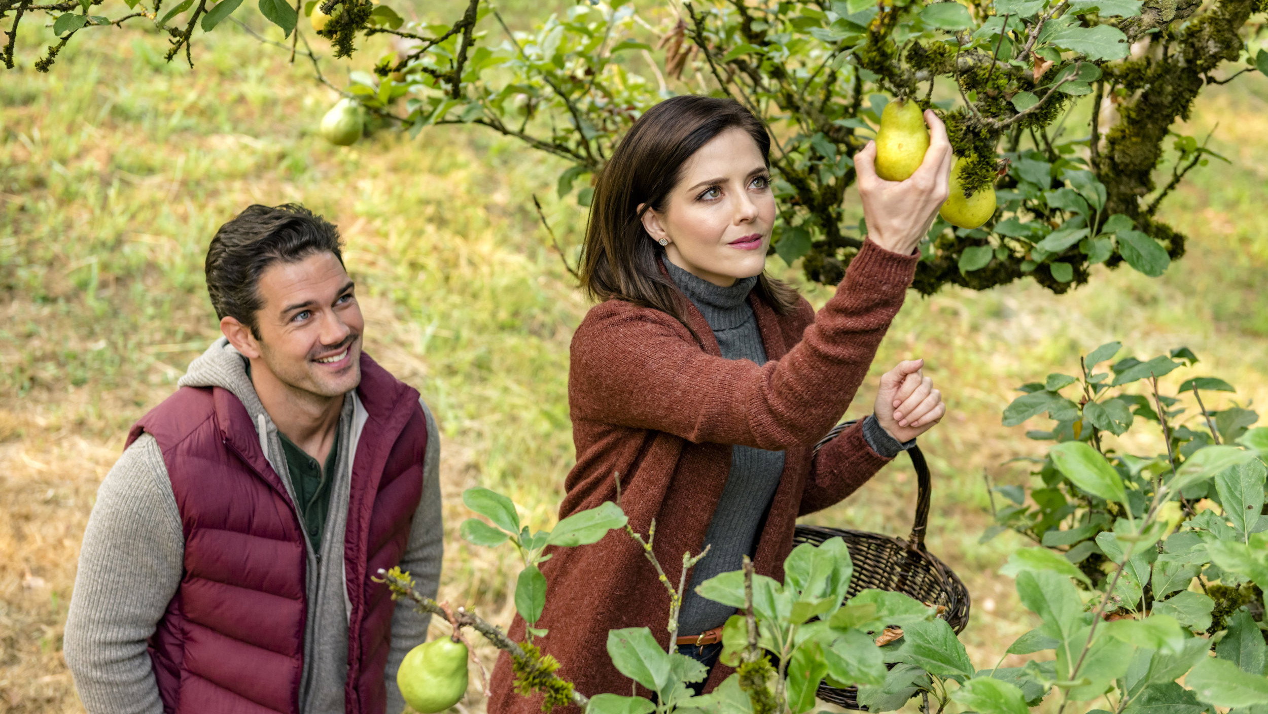 Harvest Love scene photo