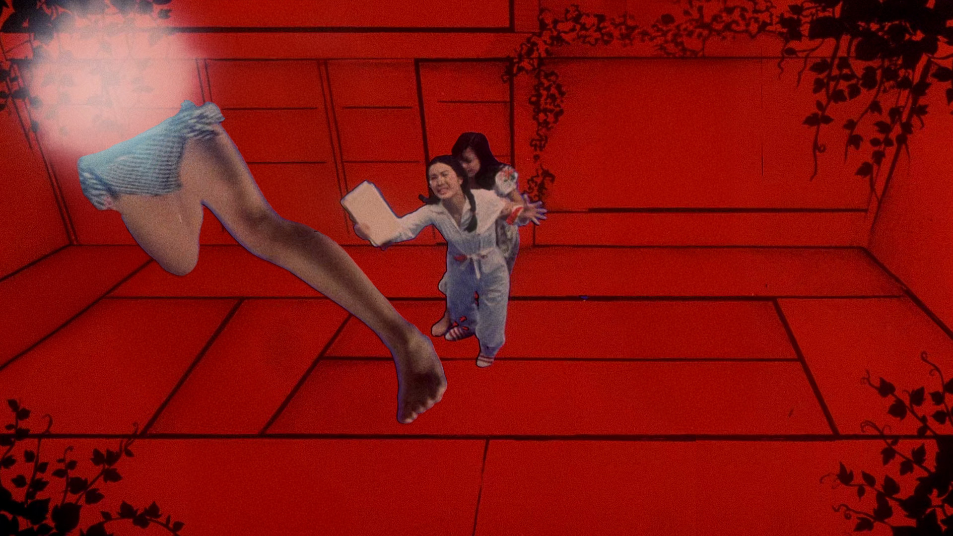 Hausu scene photo