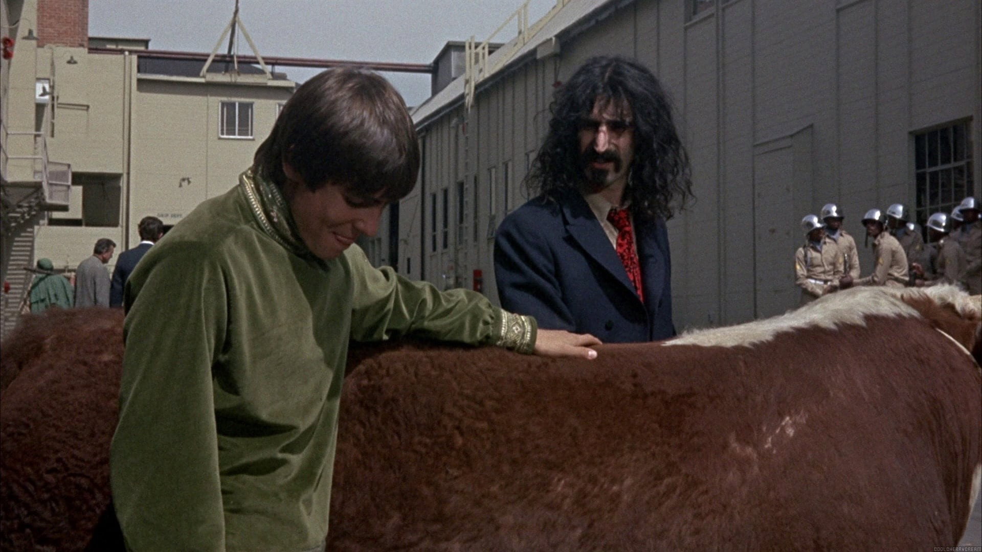 Head scene photo