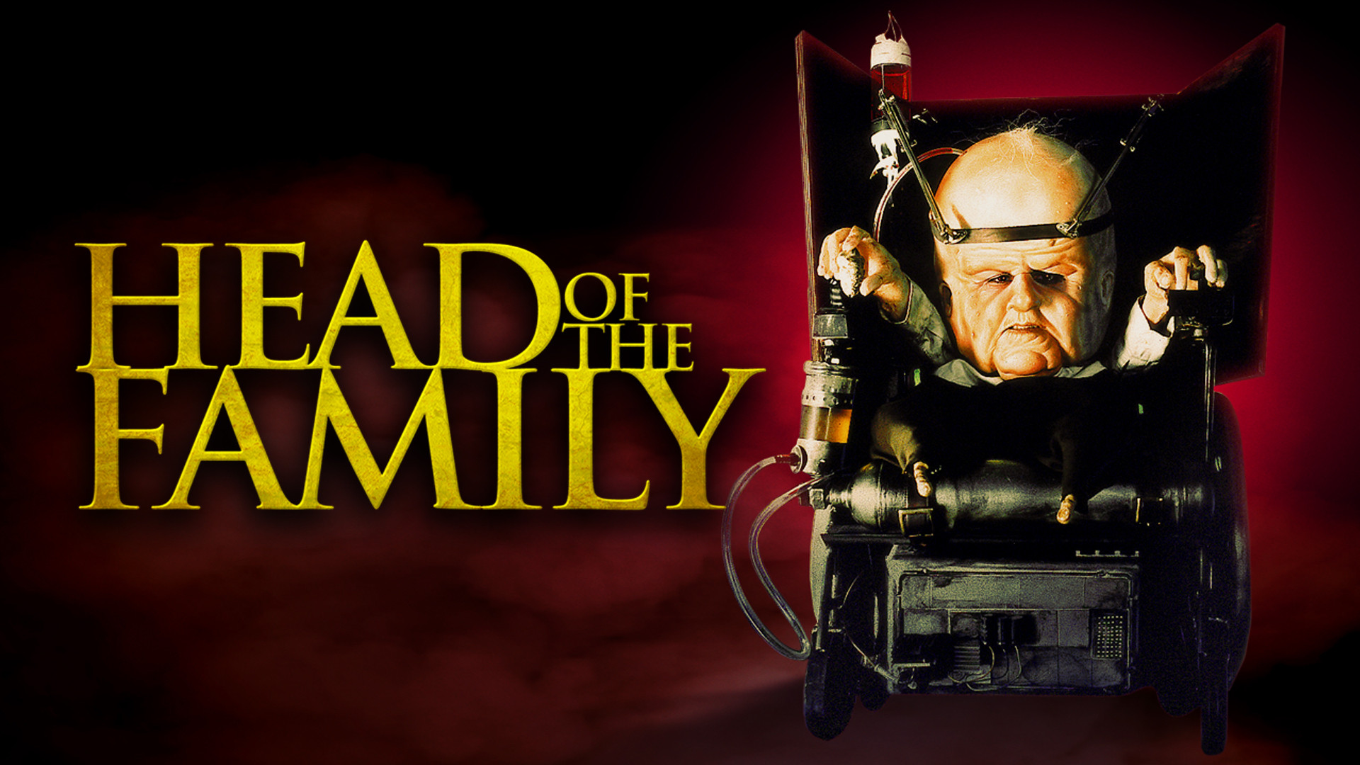 Head of the Family scene photo