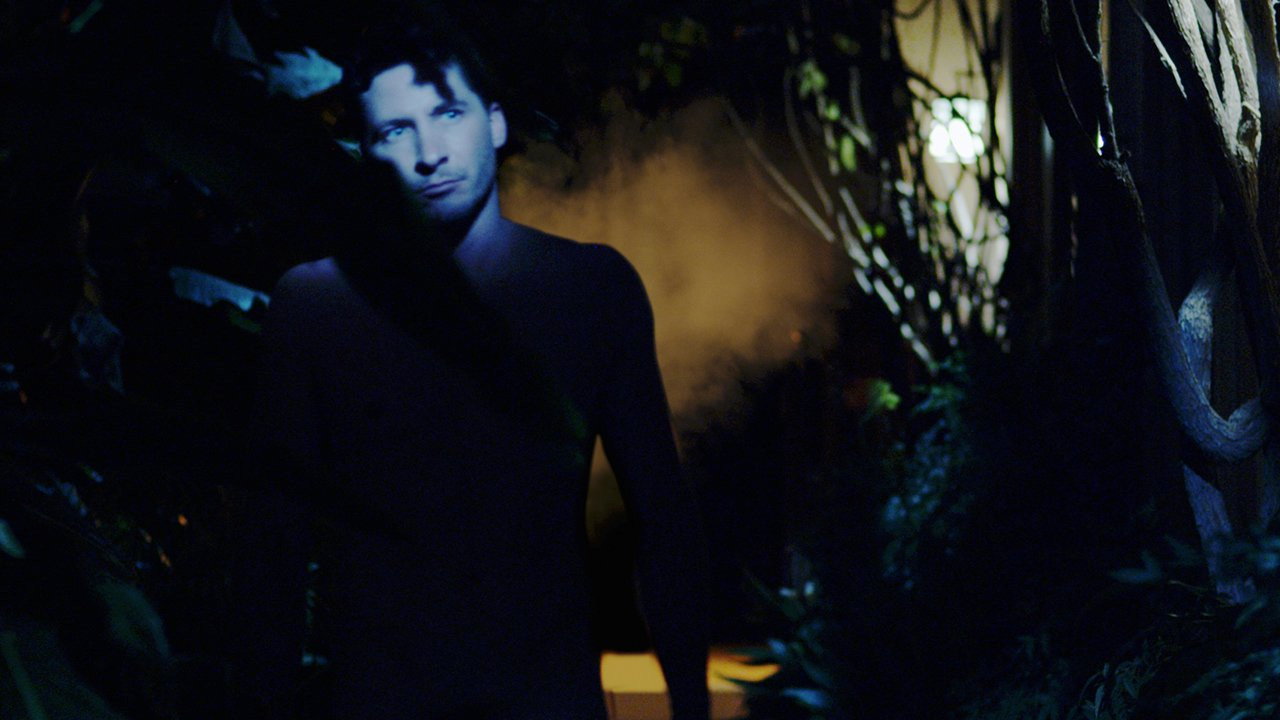 Hippopotamus scene photo