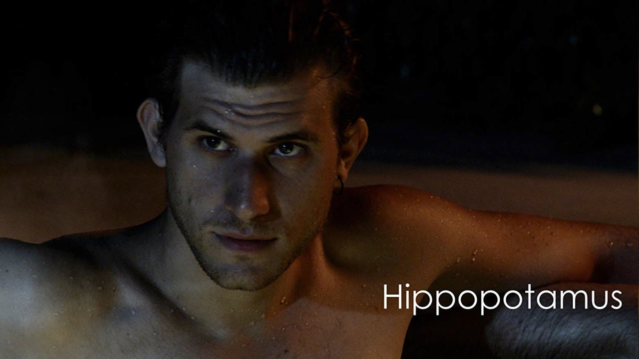 Hippopotamus scene photo