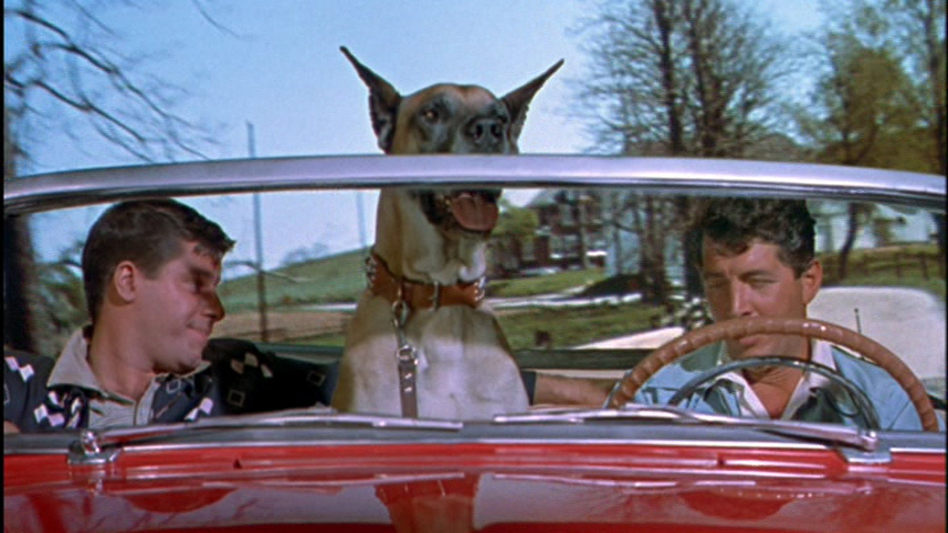Hollywood or Bust scene photo