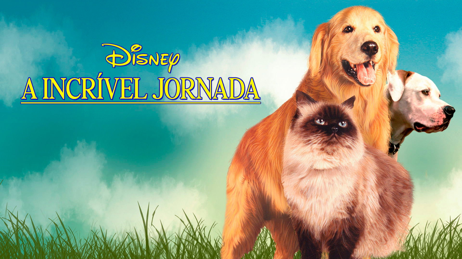 Homeward Bound: The Incredible Journey scene photo