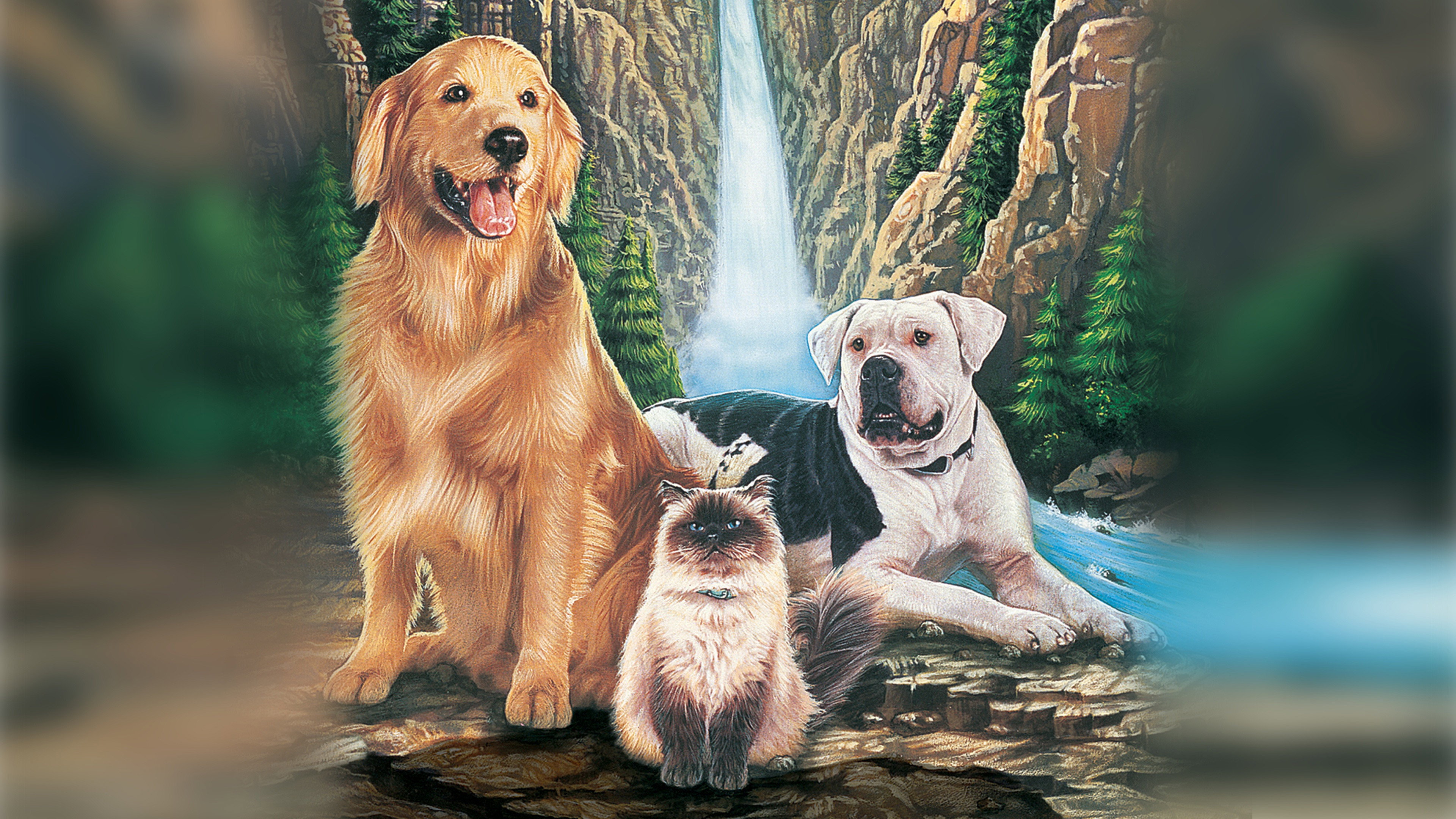 Homeward Bound: The Incredible Journey scene photo