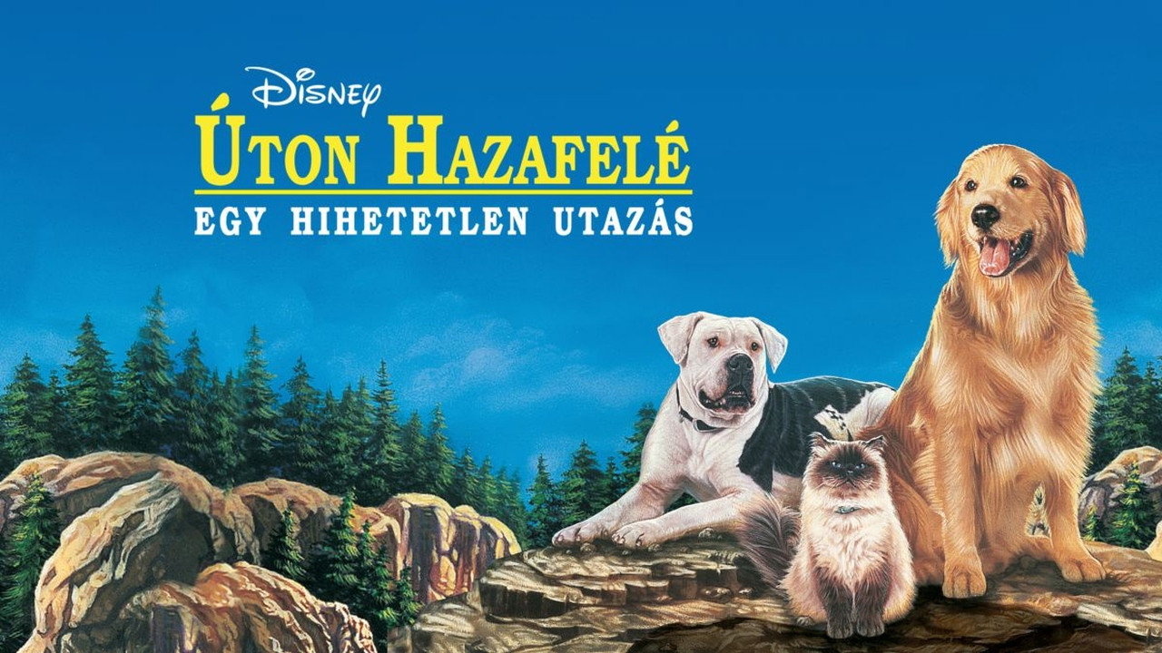 Homeward Bound: The Incredible Journey scene photo