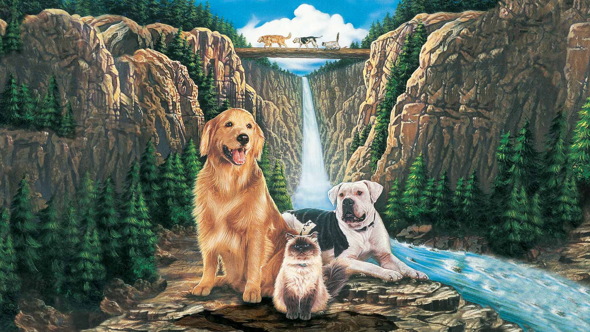 Homeward Bound: The Incredible Journey scene photo