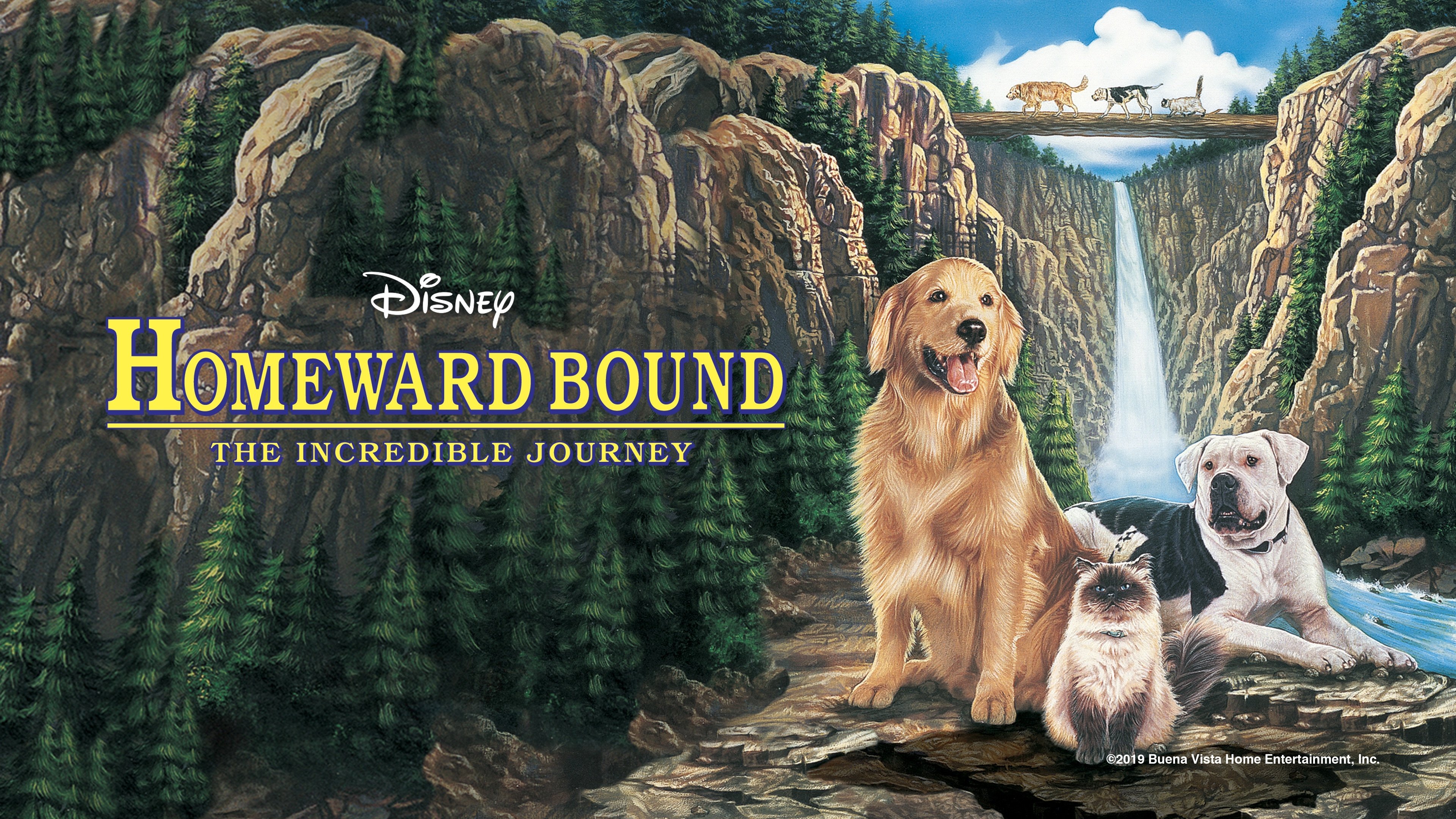 Homeward Bound: The Incredible Journey scene photo