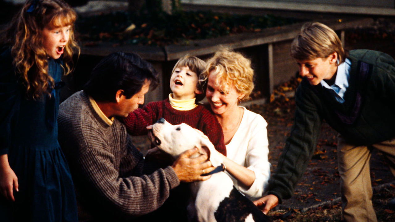 Homeward Bound: The Incredible Journey scene photo