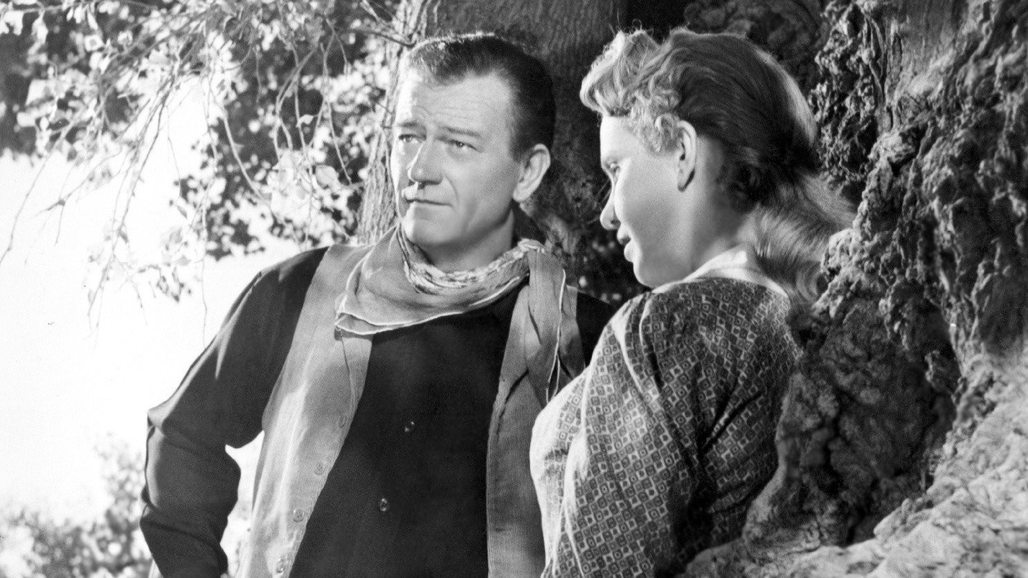 Hondo scene photo