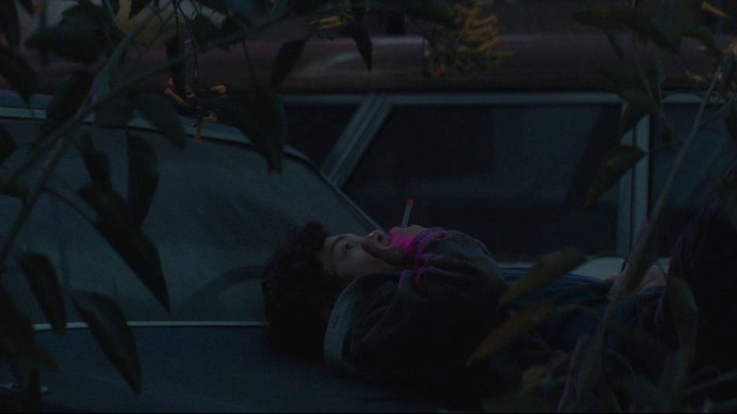 Honey Boy scene photo