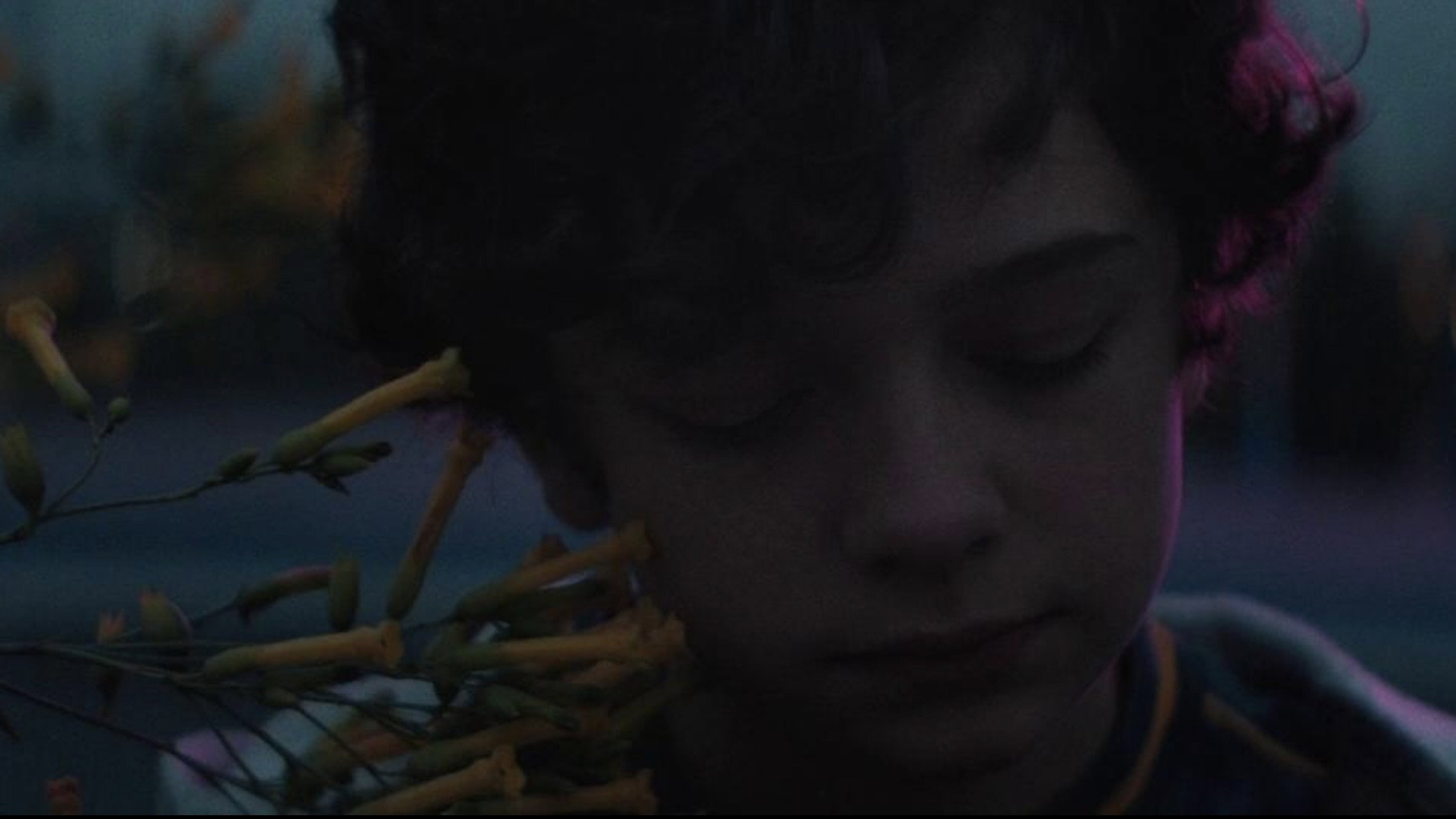 Honey Boy scene photo