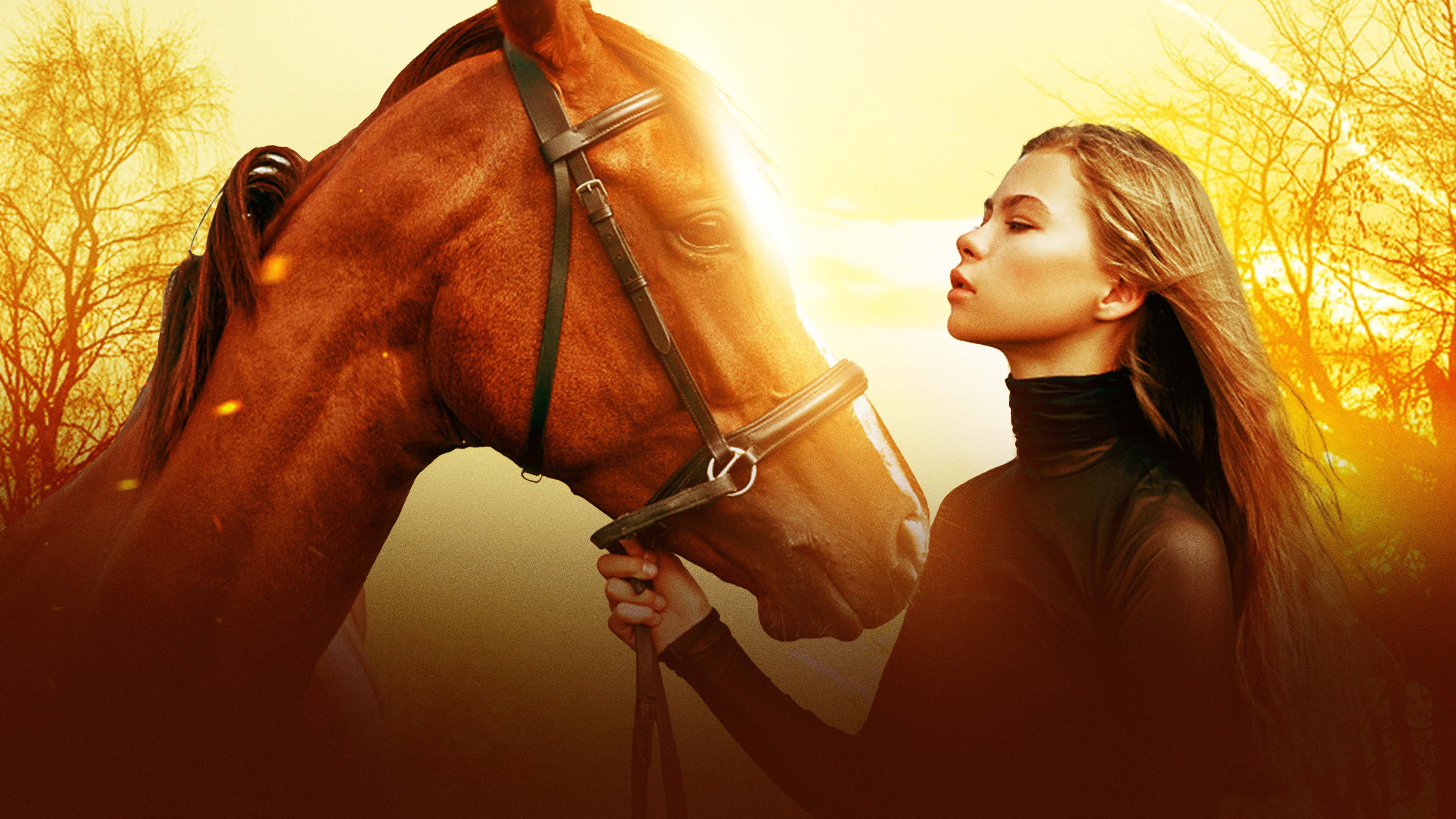 Horse Camp: A Love Tail scene photo