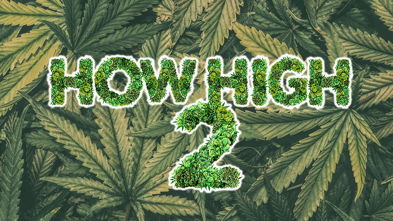 How High 2 scene photo