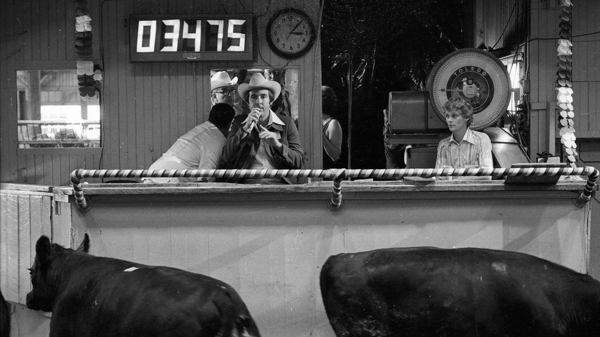 How much Wood would a Woodchuck chuck... - Beobachtungen zu einer neuen Sprache scene photo
