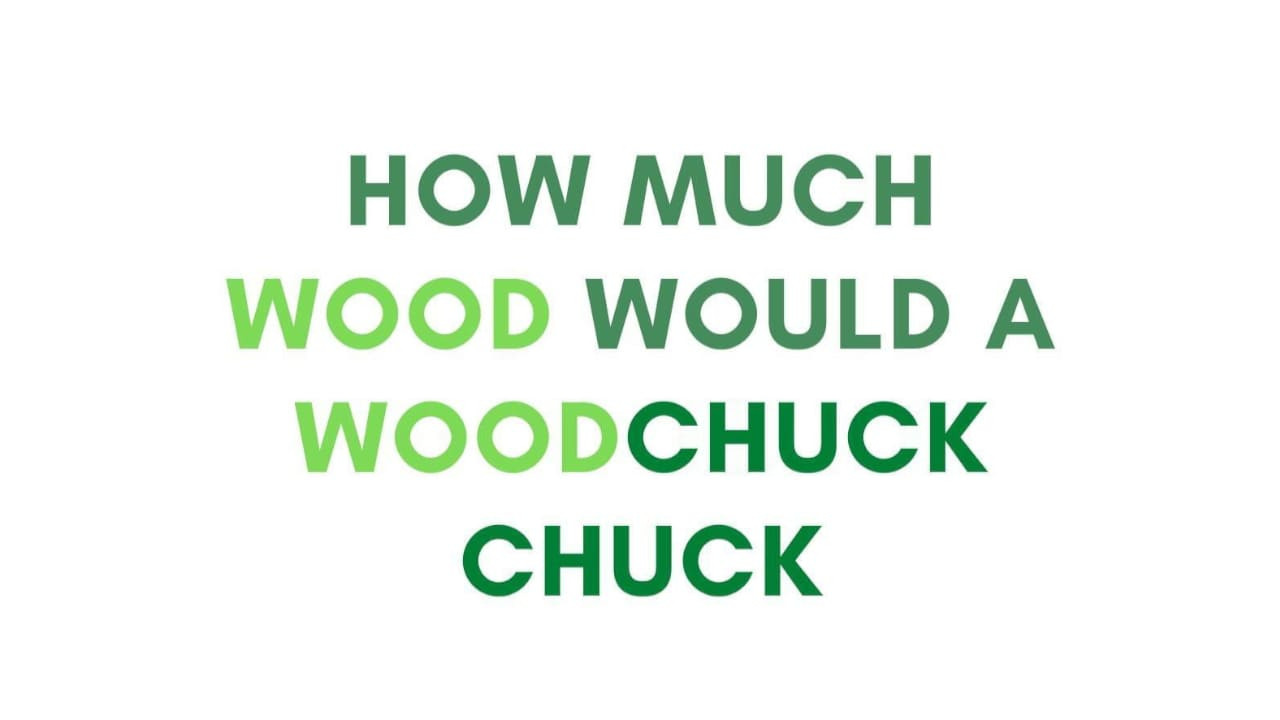 How much Wood would a Woodchuck chuck... - Beobachtungen zu einer neuen Sprache scene photo