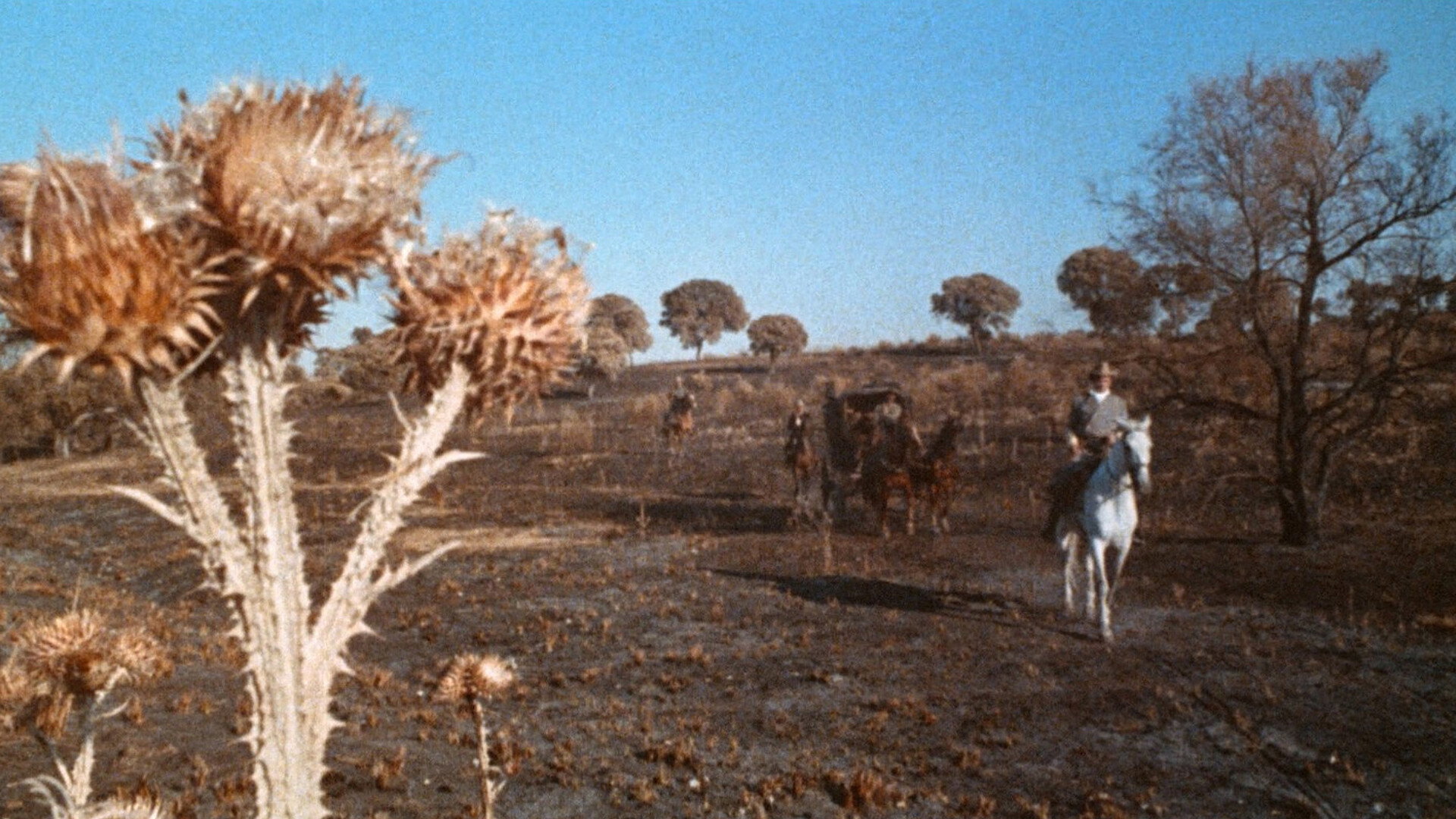 I crudeli scene photo