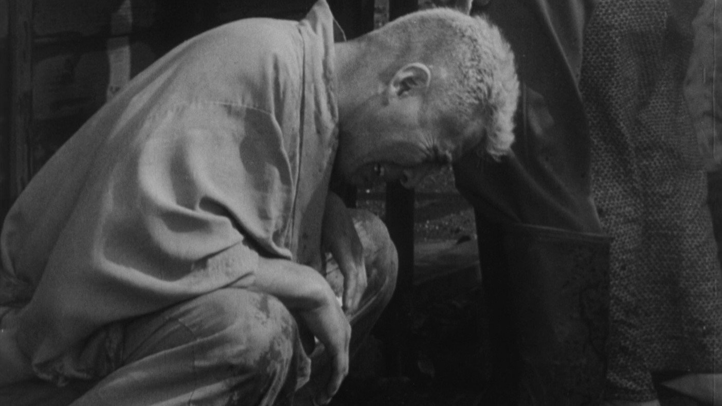 Ikimono no kiroku scene photo