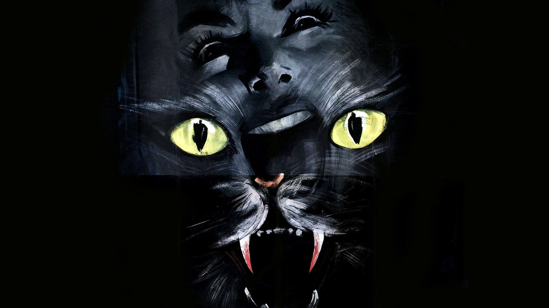 Il gatto a nove code scene photo