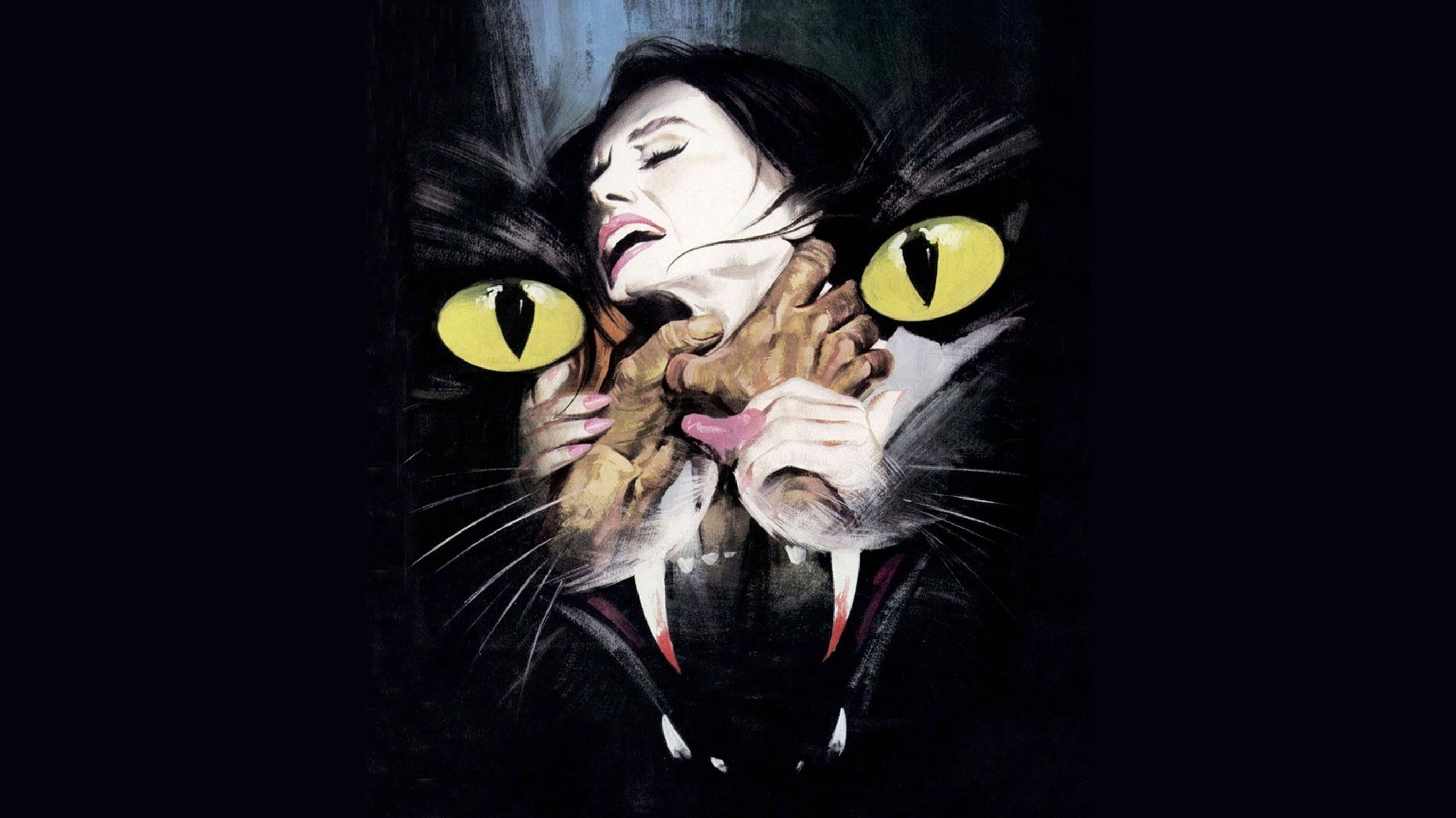 Il gatto a nove code scene photo
