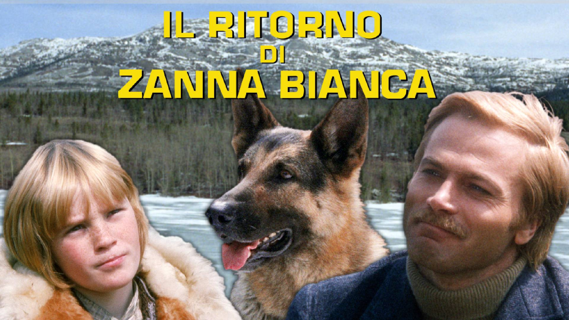 Il ritorno di Zanna Bianca scene photo