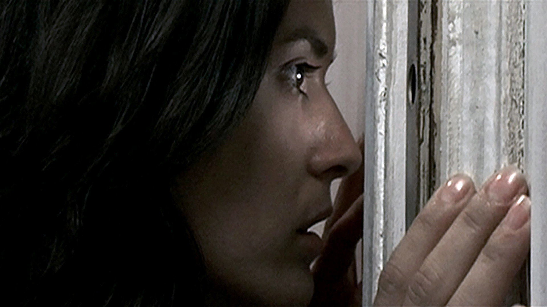 Ils scene photo