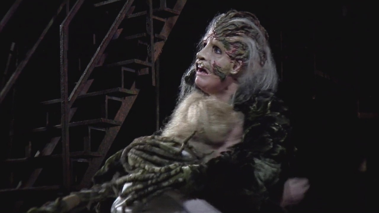Into the Woods scene photo