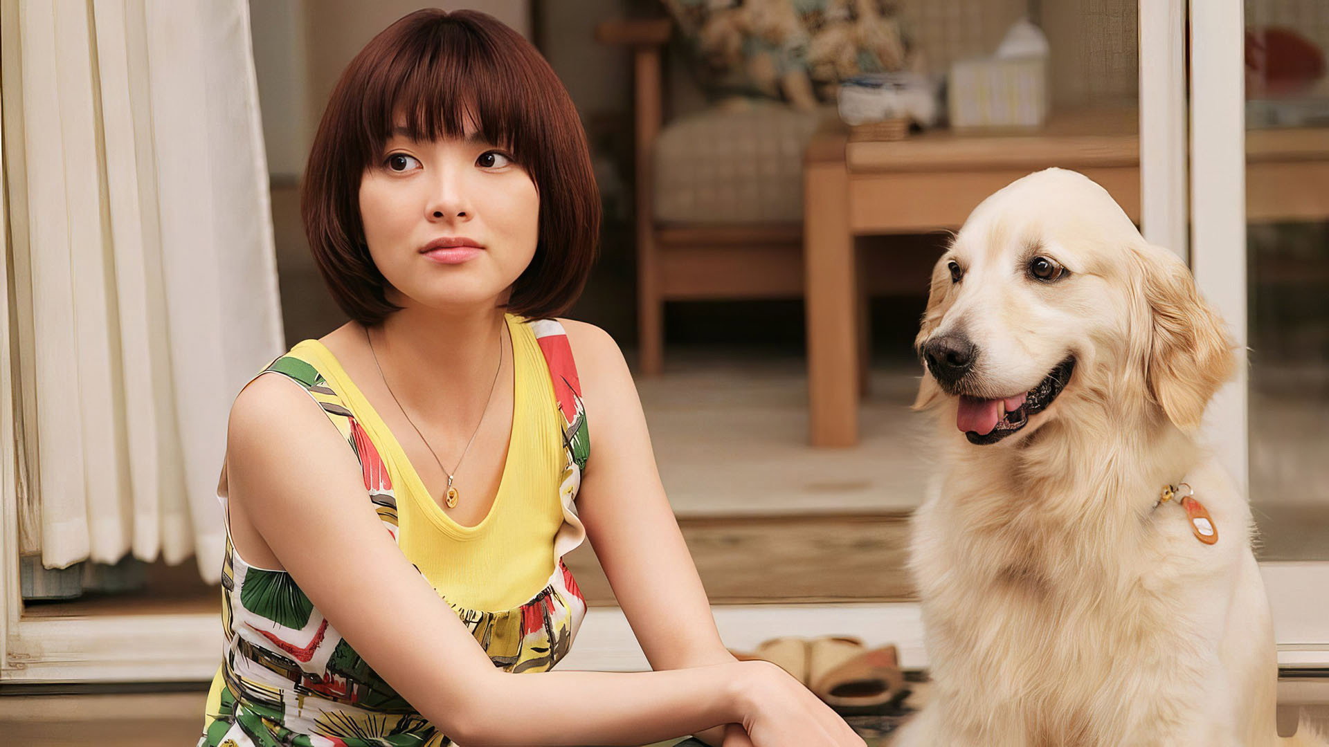 Inu to watashi no 10 no yakusoku scene photo