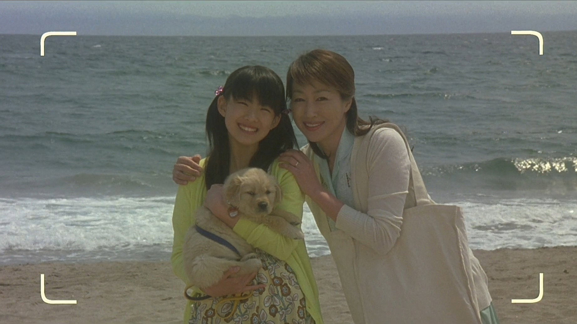 Inu to watashi no 10 no yakusoku scene photo