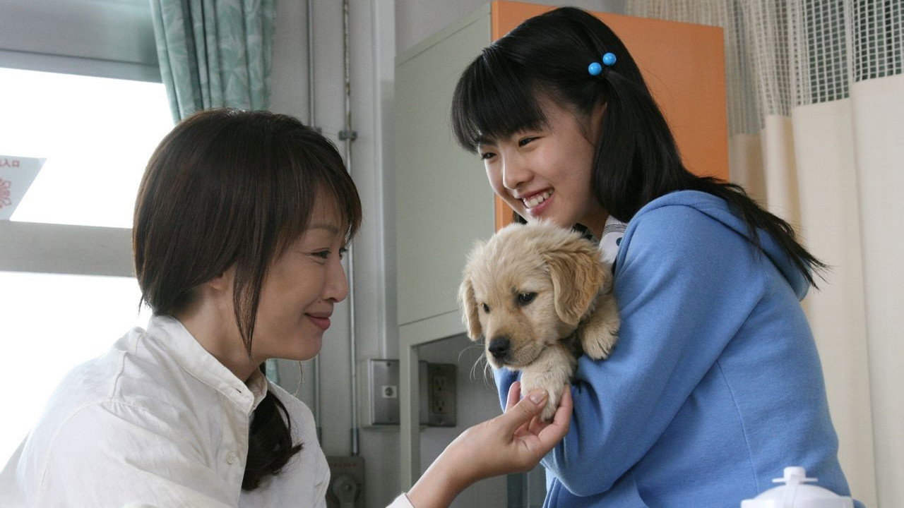Inu to watashi no 10 no yakusoku scene photo