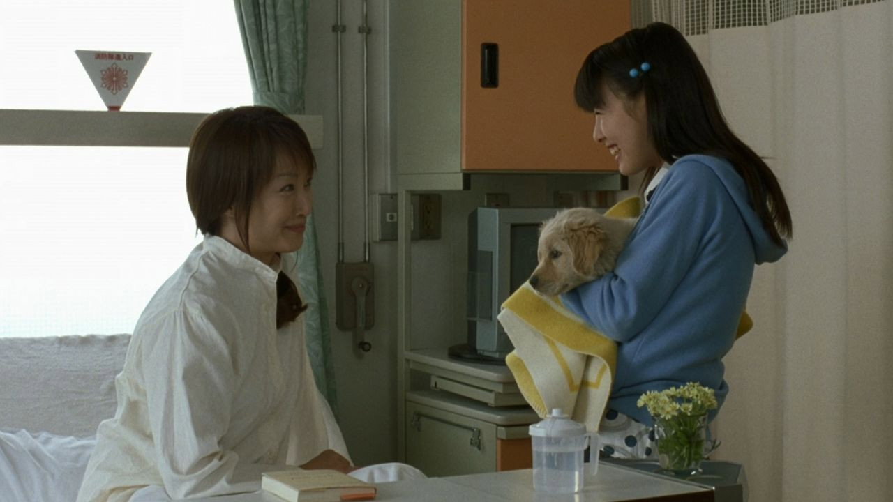 Inu to watashi no 10 no yakusoku scene photo