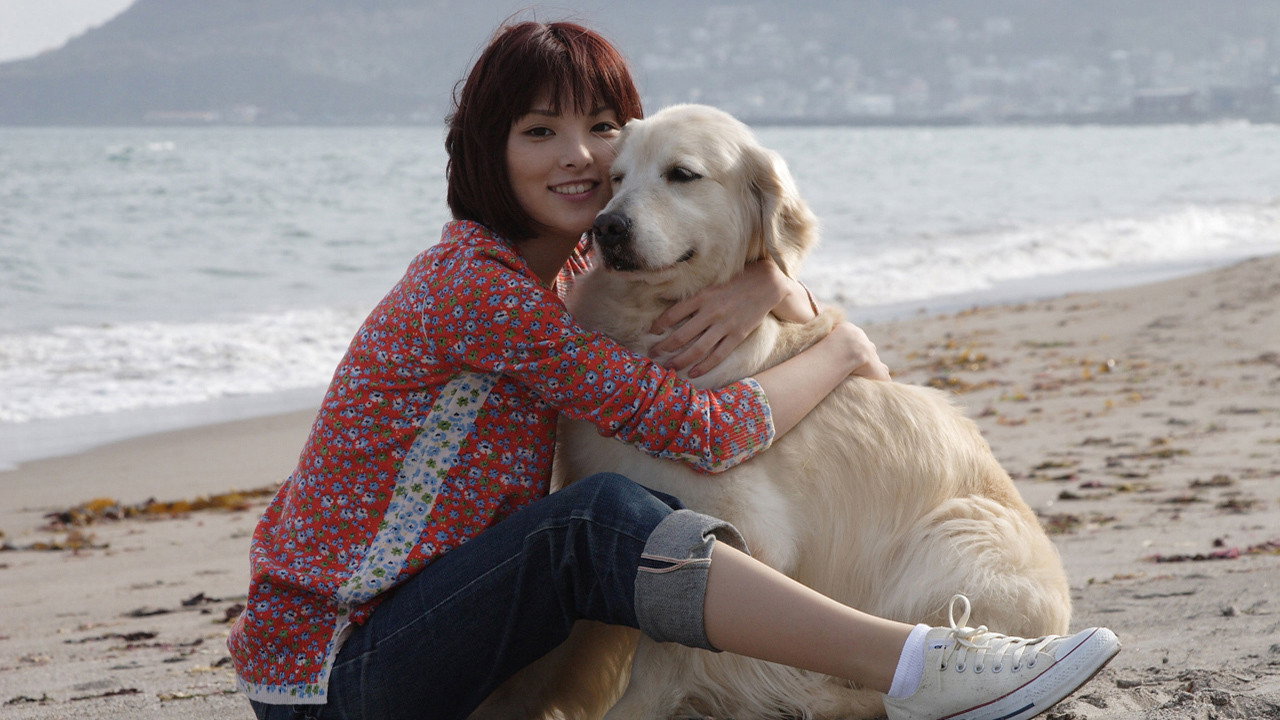 Inu to watashi no 10 no yakusoku scene photo