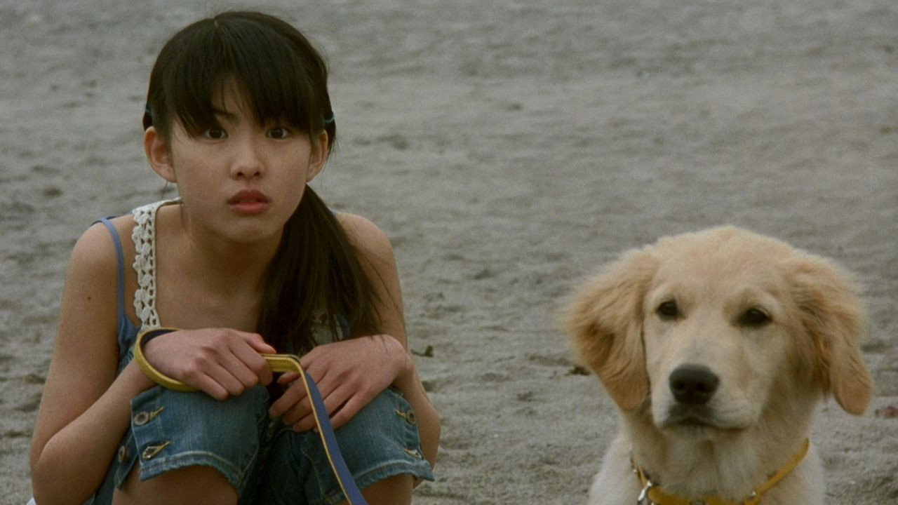 Inu to watashi no 10 no yakusoku scene photo